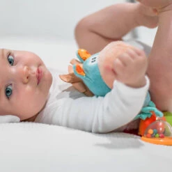 Playgro Activiteiten Rammelaar Clip Clop -Speelwereld Plezier 1011959 0905e56f