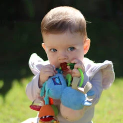 Playgro Activiteiten Rammelaar Clip Clop -Speelwereld Plezier 1011959 1e00cc26