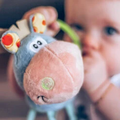 Playgro Activiteiten Rammelaar Clip Clop -Speelwereld Plezier 1011959 8a721bfb