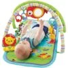 Fisher Price Fisher-Price 3-in-1 Muzikale Activiteiten Gym Speelset