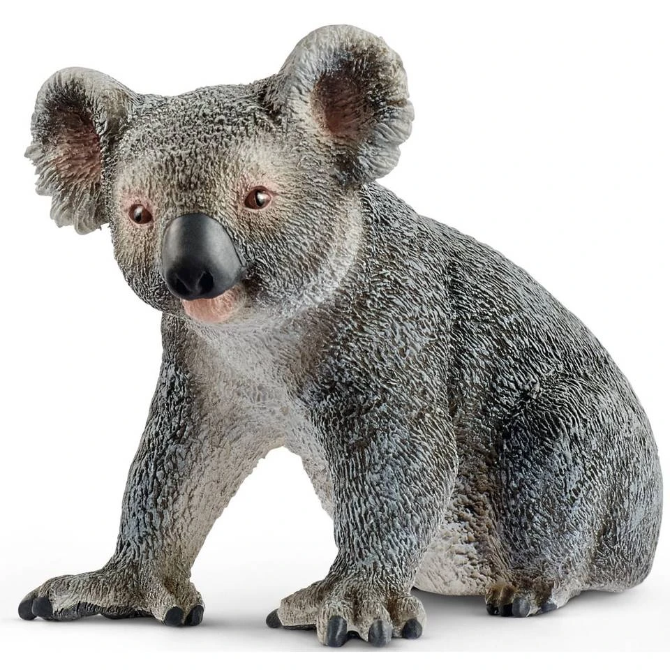 Schleich WILD LIFE Koala 14815 1 Schleich WILD LIFE Koala 14815
