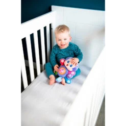 VTech Baby Do Re Mi Knuffelspin -Speelwereld Plezier 1981039 464e0969