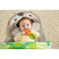 Fisher Price Fisher-Price Ready To Hang Sensorische Luiaard Activity Center -Speelwereld Plezier 1983697 da35e88b