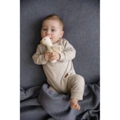 Little Dutch Knijpspeeltje Little Goose -Speelwereld Plezier 1985475 3d322586