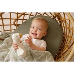 Little Dutch Knijpspeeltje Little Goose -Speelwereld Plezier 1985475 b5870c58