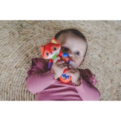 VTech Baby Dierenvriendjes Rammelaar Vos -Speelwereld Plezier 1988313 7fae1603