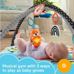 Fisher Price Fisher-Price 3-in-1 Gym Met Muziek En Lichtjes 10 Fisher Price Fisher-Price 3-in-1 Gym Met Muziek En Lichtjes -Speelwereld Plezier 1990784 d439522d