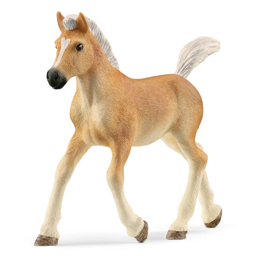 Schleich HORSE CLUB Haflingerveulen 13951 1 Schleich HORSE CLUB Haflingerveulen 13951