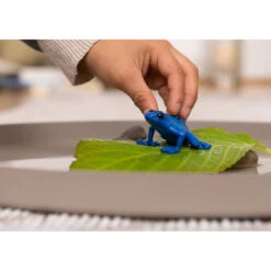 Schleich WILD LIFE Blauwe Pijlgifkikker 14864 5 Schleich WILD LIFE Blauwe Pijlgifkikker 14864 -Speelwereld Plezier 1994516 e95822b5