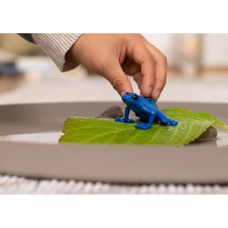 Schleich WILD LIFE Blauwe Pijlgifkikker 14864 3 Schleich WILD LIFE Blauwe Pijlgifkikker 14864 - Afbeelding 3
